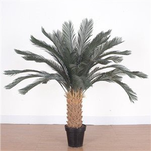 Mesterséges Cycas Revoluta